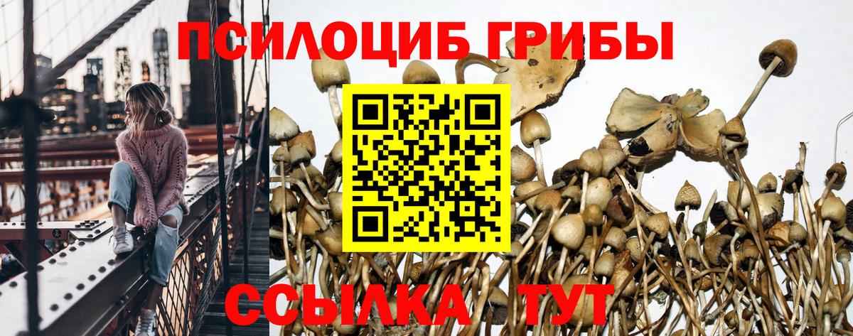 Псилоцибиновые грибы Трёхгорный